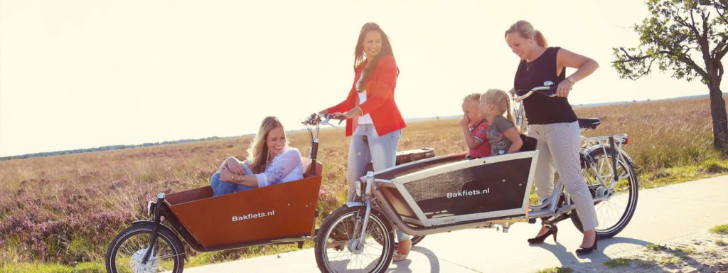 Bakfiets Long – Electric Vehicle Solutions